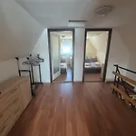 Sinka Vendeghaz Apartament *